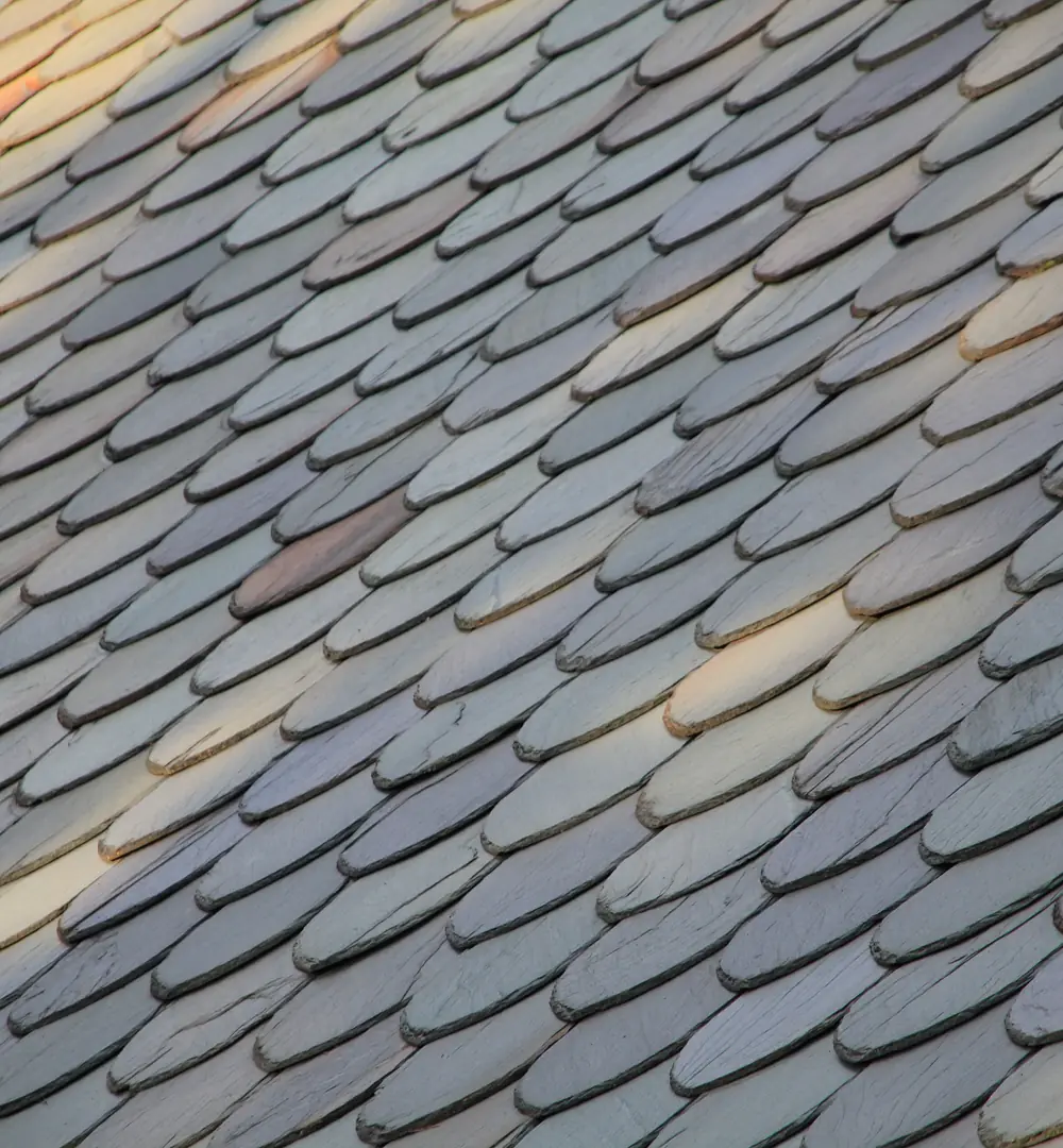 Pan de toit couvert d’ardoises, vu de près sous une lumière de fin de journée