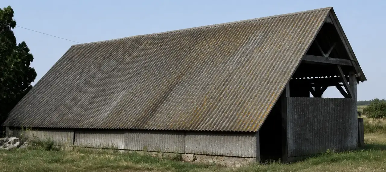Hangar couvert de plaques ondulées grises anciennes avec lichens, vu depuis le sol à distance