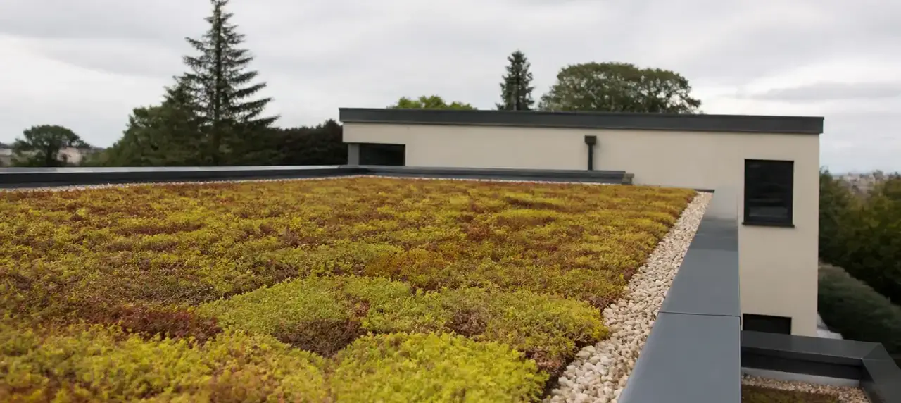 Toit plat végétalisé couvert de sedums verts et rouges, bande de gravier en bordure